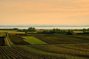 Feld Sonne Wasser