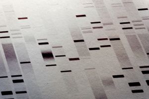 Sequenz DNA Braun