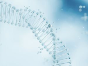 DNA Strang Blau