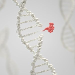 DNA weiss mit Rot