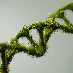 DNA aus Pflanzen in grün
