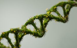 DNA aus Pflanzen in grün